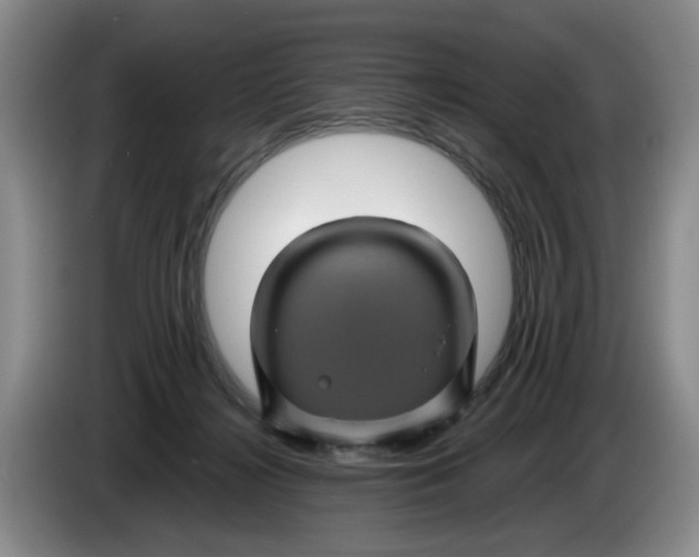 X0000084030268200703092016