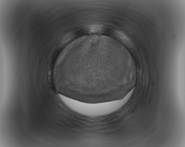 X0000084030269200703092016