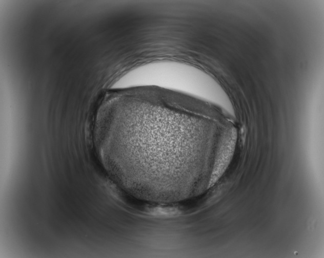 X0000084030270200703092016