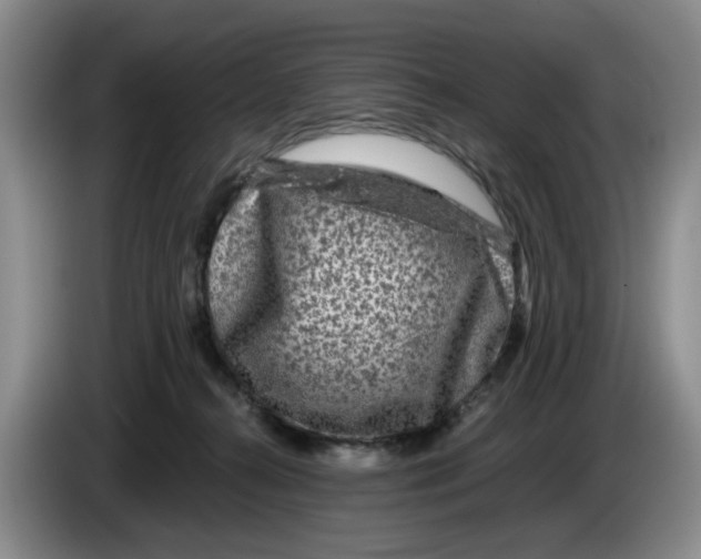 X0000084030272200703092016