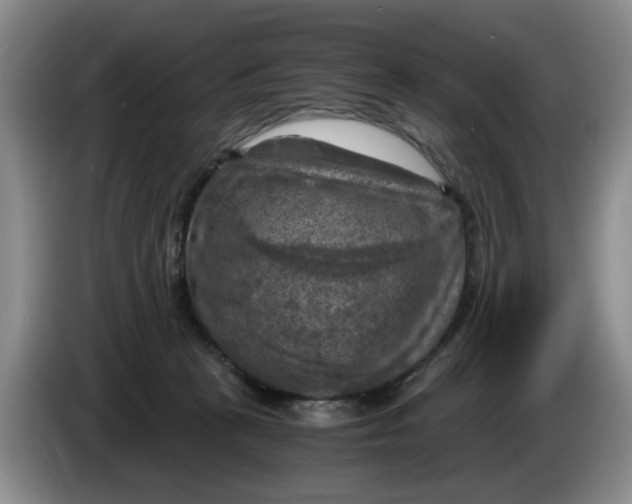 X0000084030273200703092016