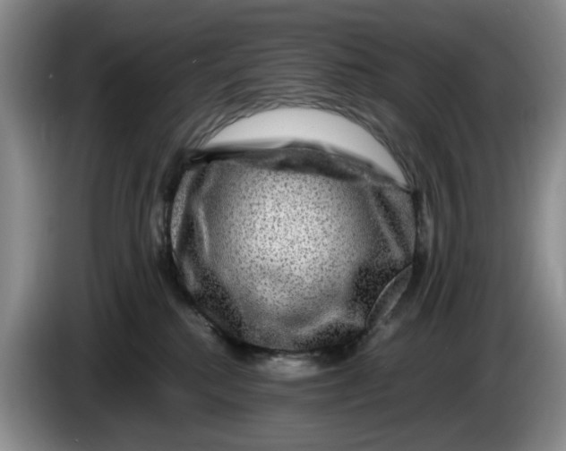 X0000084030280200703092016