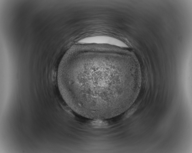 X0000084030281200703092016