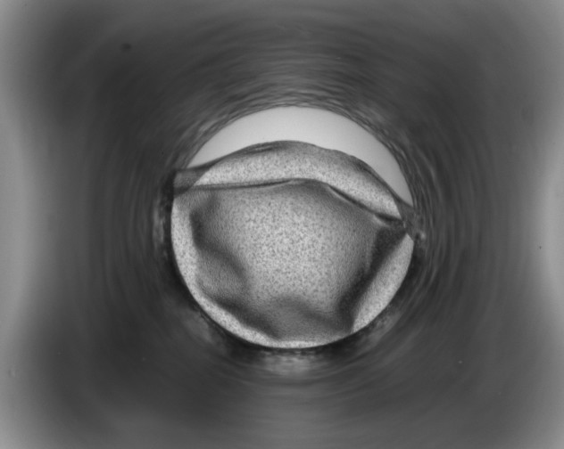 X0000084030282200703092016