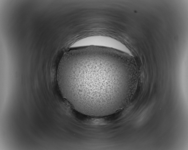 X0000084030283200703092016