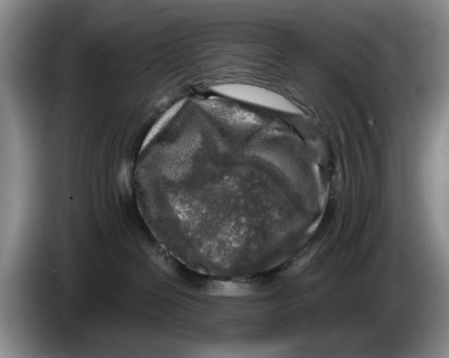 X0000084030286200703092016