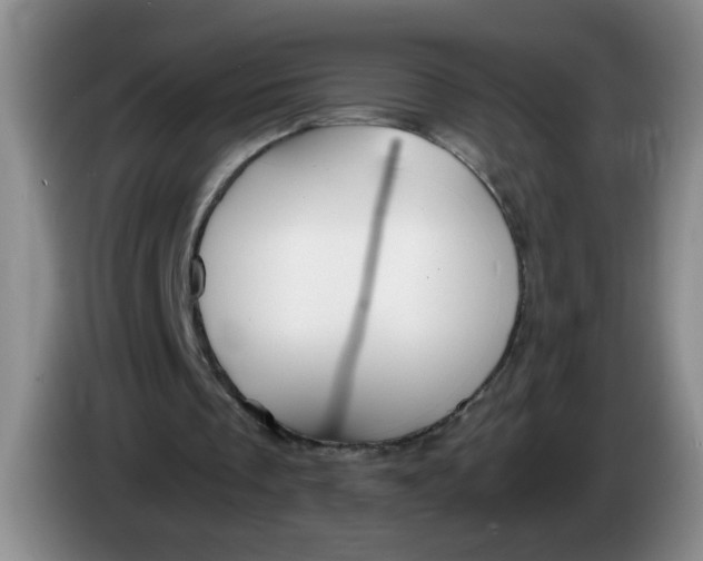 X0000084030289200703092016