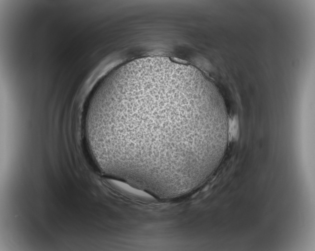 X0000084030291200703092016