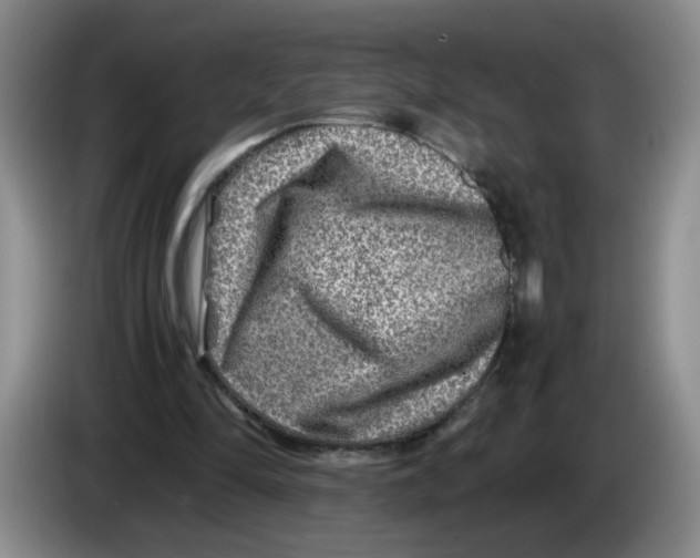 X0000084030294200703092016