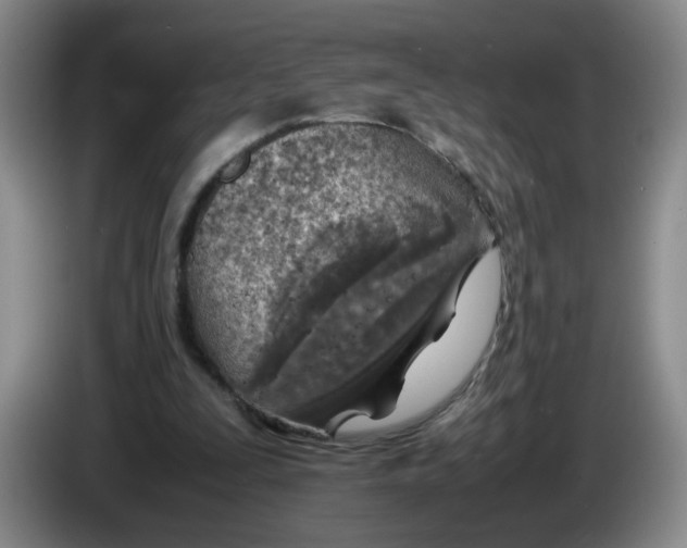 X0000084030295200703092016