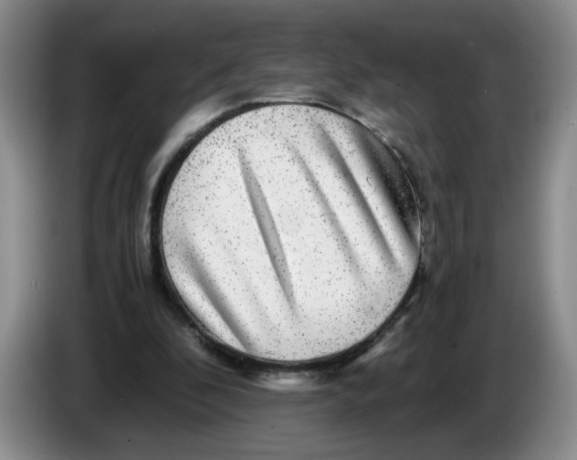 X0000084030296200703092016