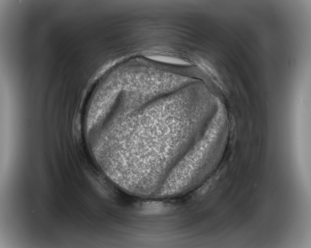 X0000084030298200703092016