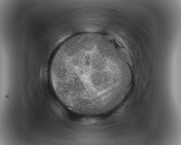 X0000084030299200703092016