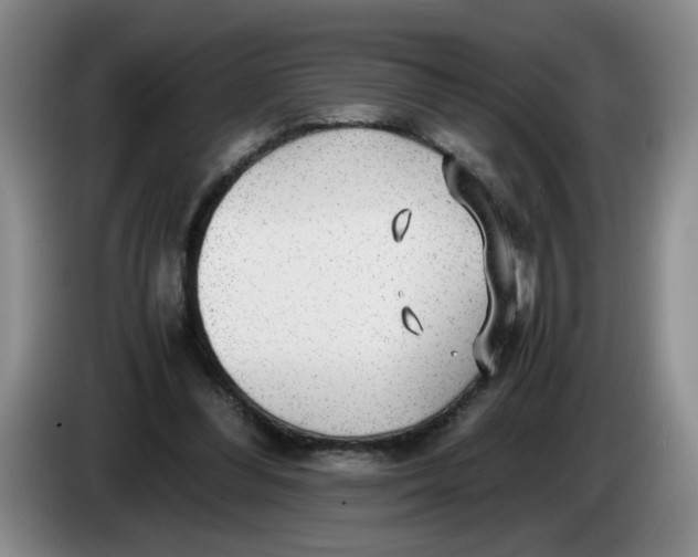 X0000084030300200703092016