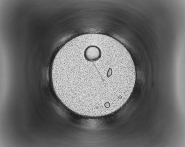 X0000084030302200703092016