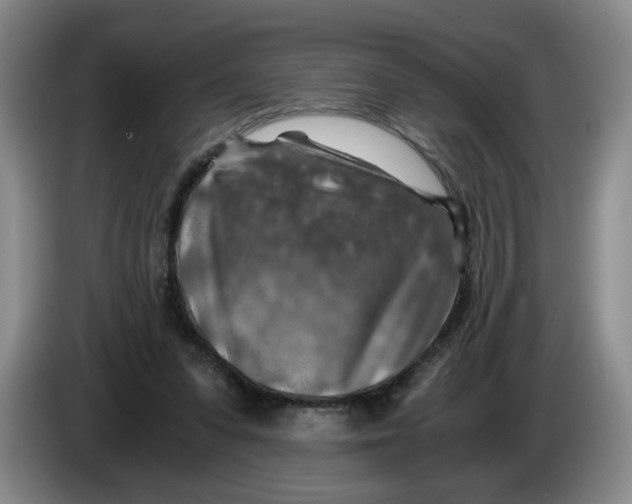 X0000084030303200703092016