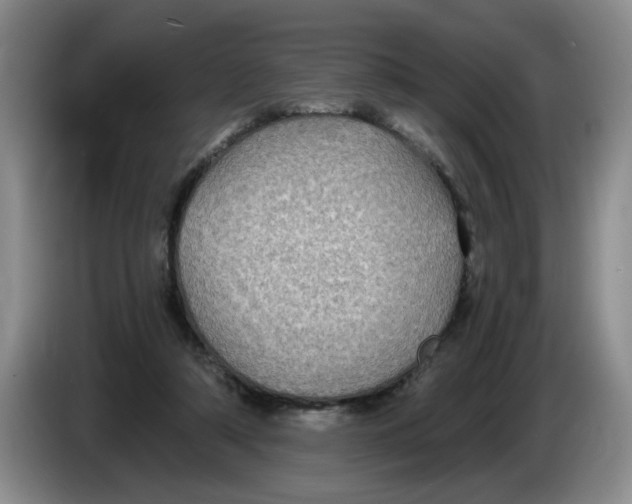 X0000084030306200703092016