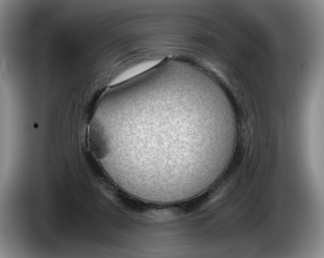 X0000084030307200703092016