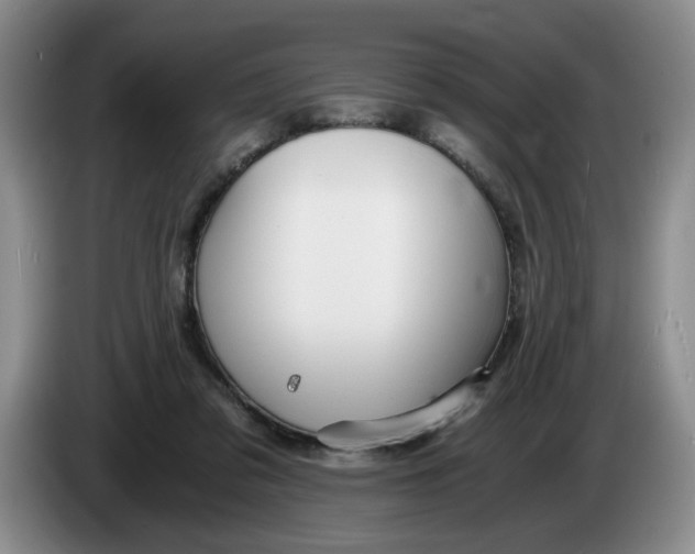 X0000084030309200703092016