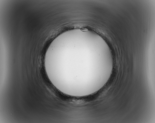 X0000084030311200703092016