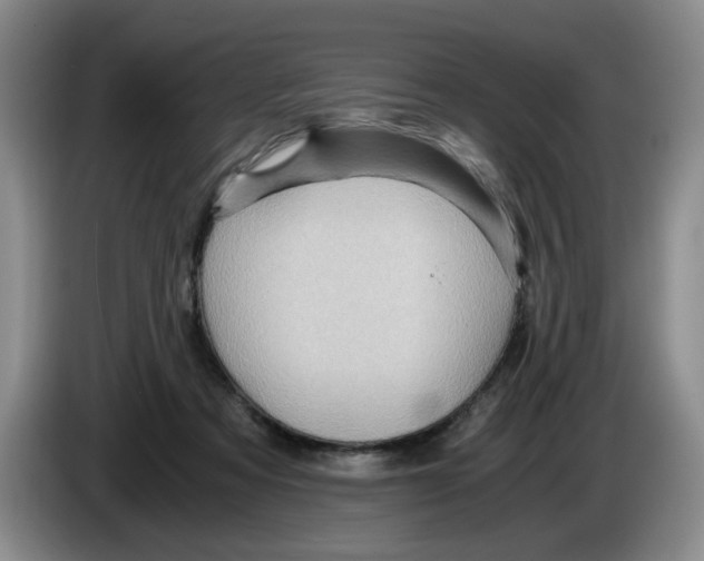 X0000084030313200703092016