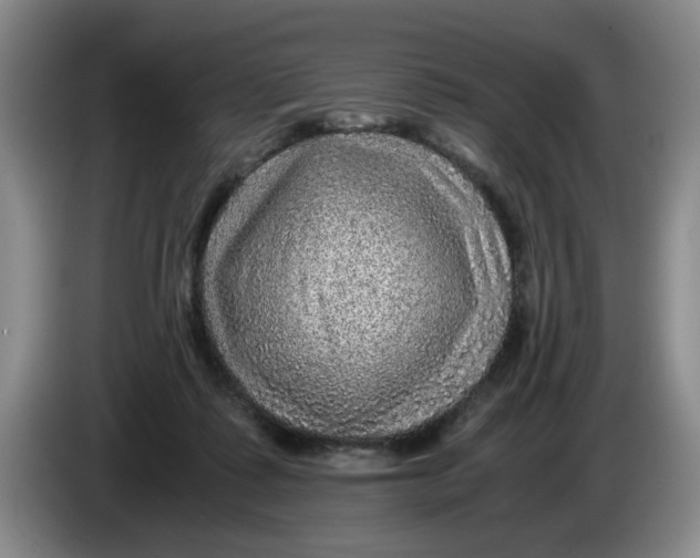 X0000084030315200703092015