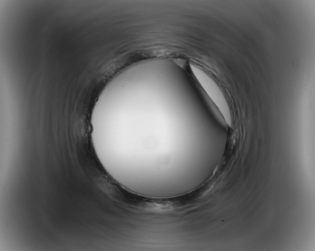 X0000084030317200703092015