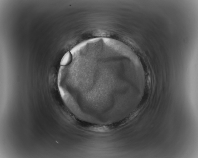 X0000084030322200703092015