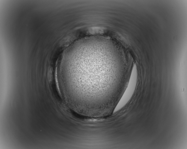 X0000084030323200703092015