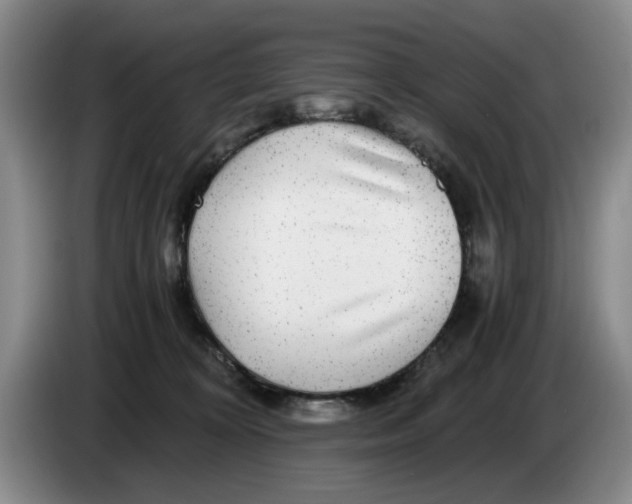 X0000084030324200703092015