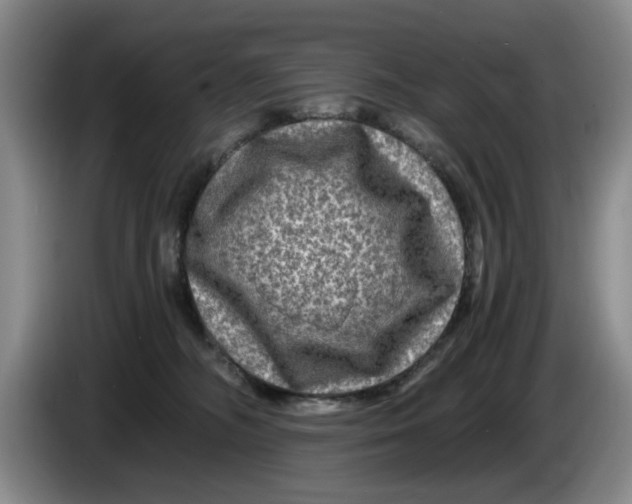 X0000084030326200703092015