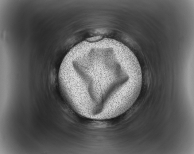 X0000084030328200703092015