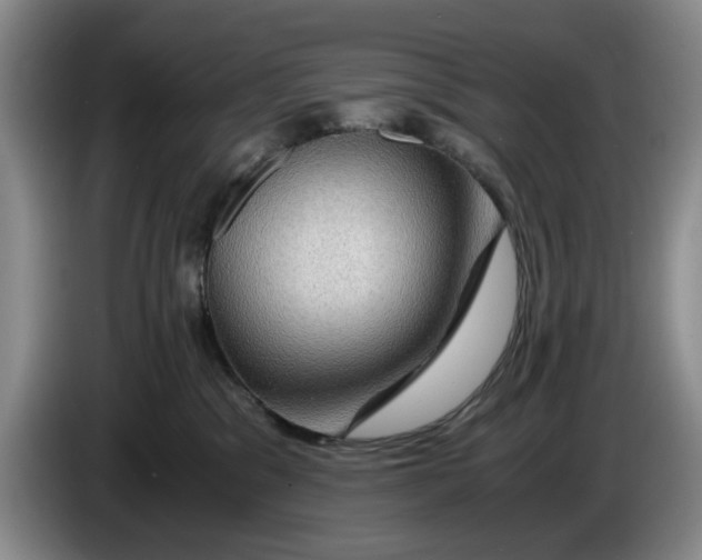 X0000084030329200703092015