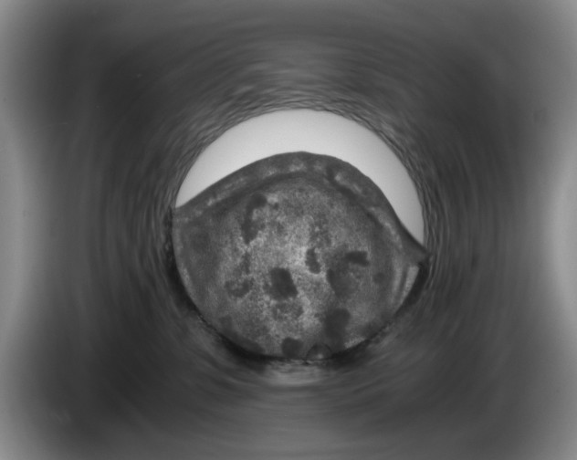 X0000084030331200703092015