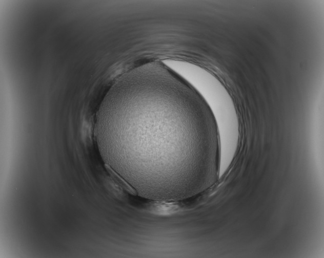 X0000084030333200703092015