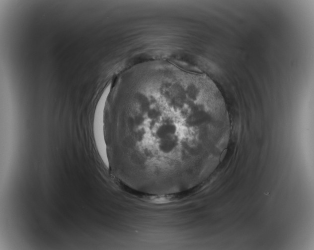 X0000084030335200703092015