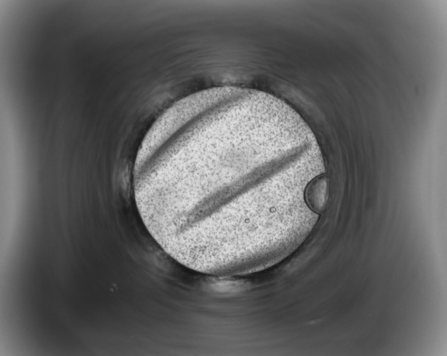 X0000084030336200703092015