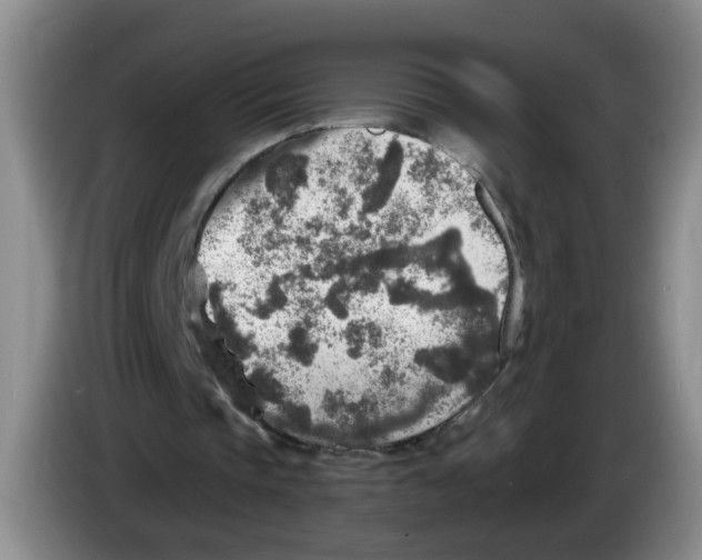 X0000084030337200703092015