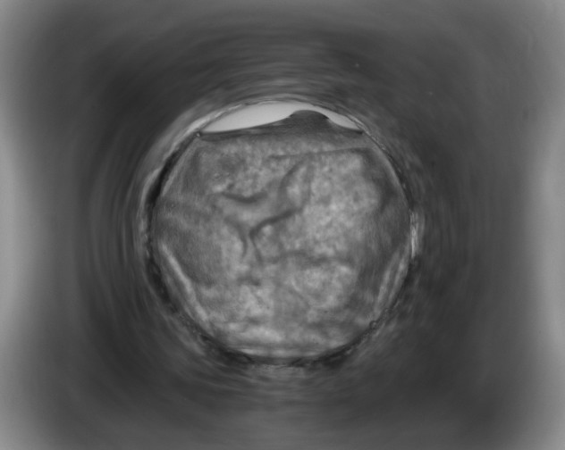 X0000084030339200703092015