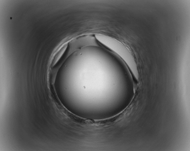 X0000084030340200703092015