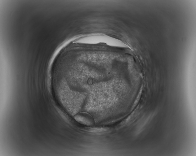 X0000084030342200703092015