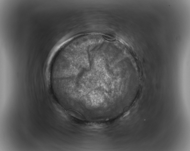 X0000084030343200703092015