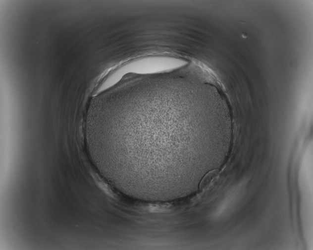 X0000084030345200703092015