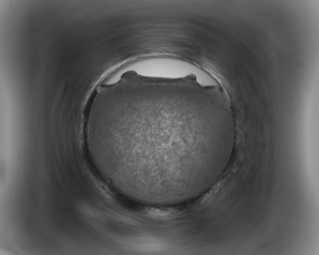 X0000084030346200703092015