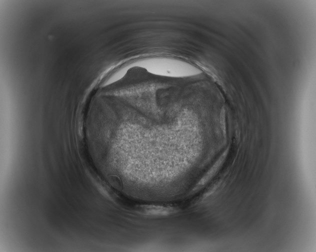 X0000084030347200703092015