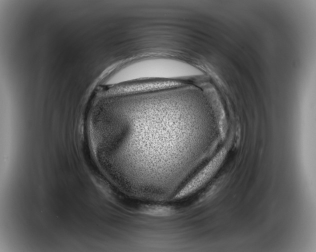 X0000084030348200703092015