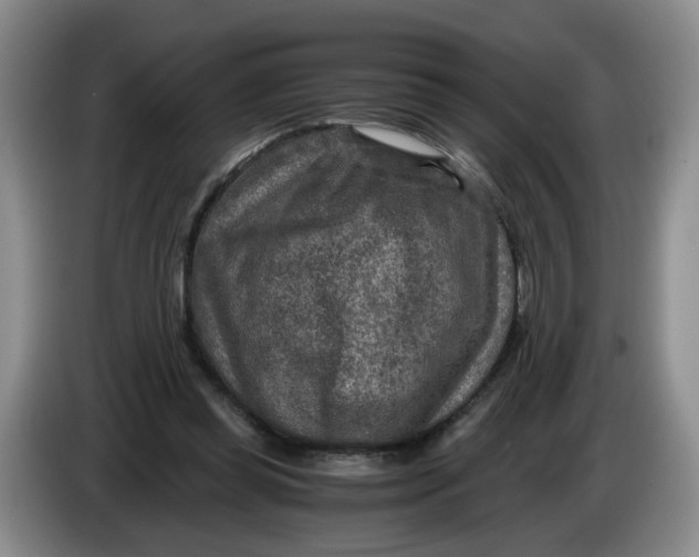 X0000084030349200703092015