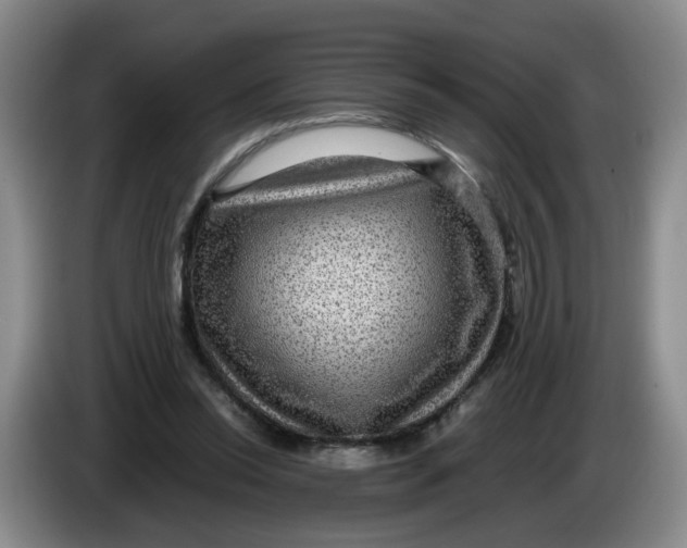 X0000084030350200703092015