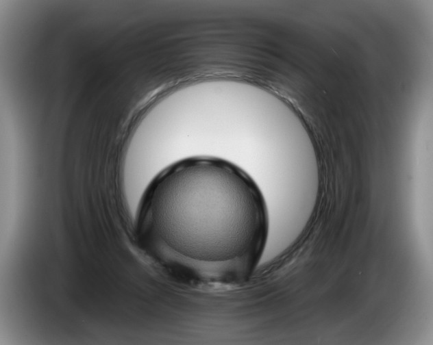 X0000084030352200703092015