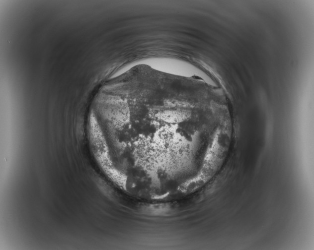 X0000084030353200703092015